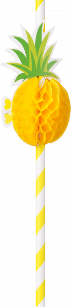 6298189ca0e119bc17b76053ba07acddd53a77e2_Ananas_Strohhalm